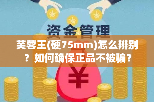 芙蓉王(硬75mm)怎么辨别？如何确保正品不被骗？